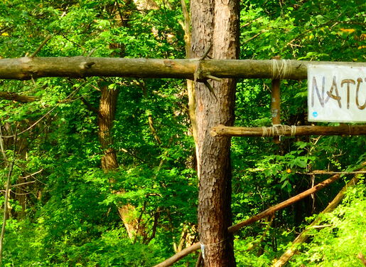 Eine Holzstruktur in einem bewaldeten Gebiet mit einem Schild, auf dem "NATURE PLAY AREA" steht. Die Struktur besteht aus Baumstämmen und Ästen, und der Hintergrund besteht aus dichtem grünen Laub.