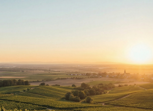 Das Motiv zeigt eine Dame, die in den Sonnenuntergang über Rheinhessen blickt. Sie trägt ein sommerliches beigefarbenes Outfit und blickt in das grüne Tal.