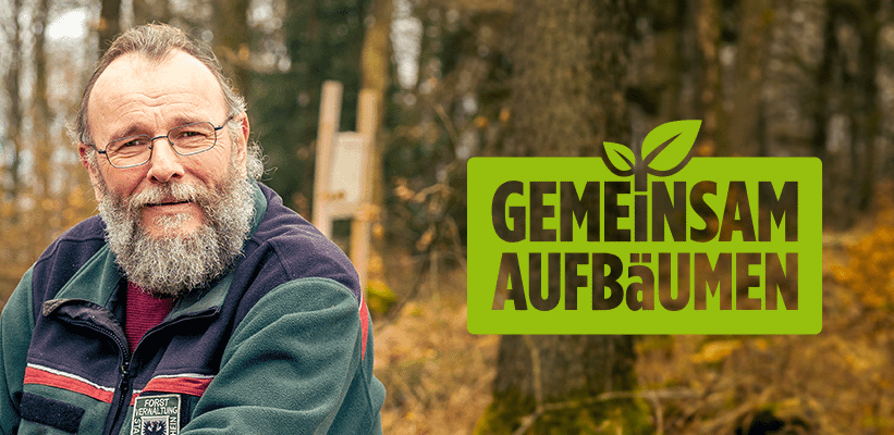 Eine Person mit Jacke steht in einem herbstlichen Wald.