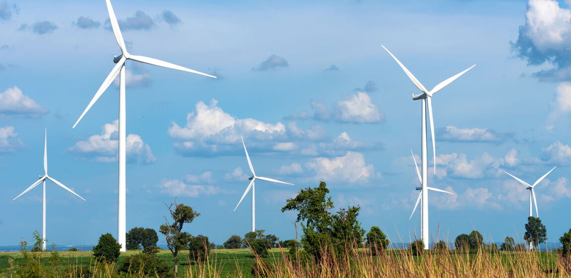 Auf dem Bild ist eine sommerliche Landschaft mit Bäumen, blauem Himmel und sieben Windrädern zu sehen.