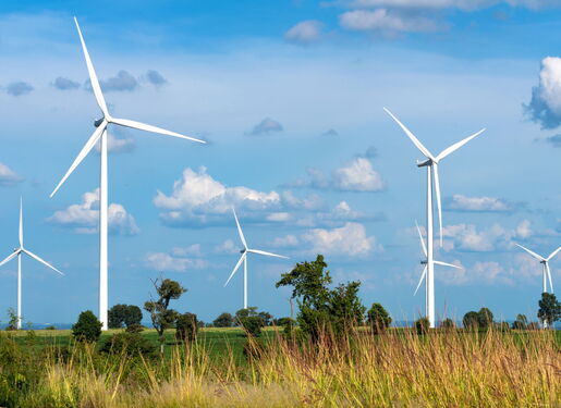 Auf dem Bild ist eine sommerliche Landschaft mit Bäumen, blauem Himmel und sieben Windrädern zu sehen.