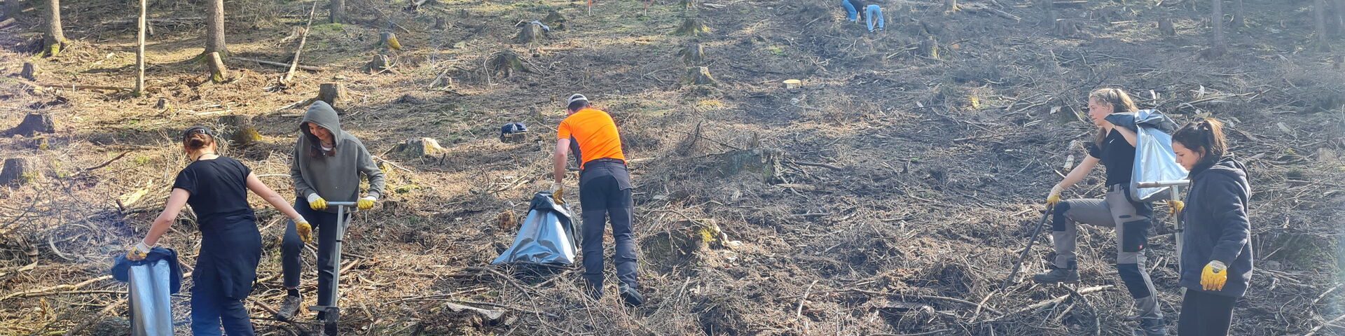 Das Bild zeigt eine Gruppe von Menschen, die in einem bewaldeten Gebiet arbeiten. Der Wald hat hohe Bäume mit spärlichem Unterholz.