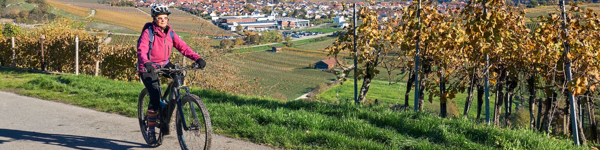 Einen Fahrradfahrerin auf einem gepflasterten Weg durch einen Weinberg. Sie trägt eine pinke Jacke und einen Helm. Im Hintergrund sind Reihen von Weinreben mit Herbstlaub zu sehen.