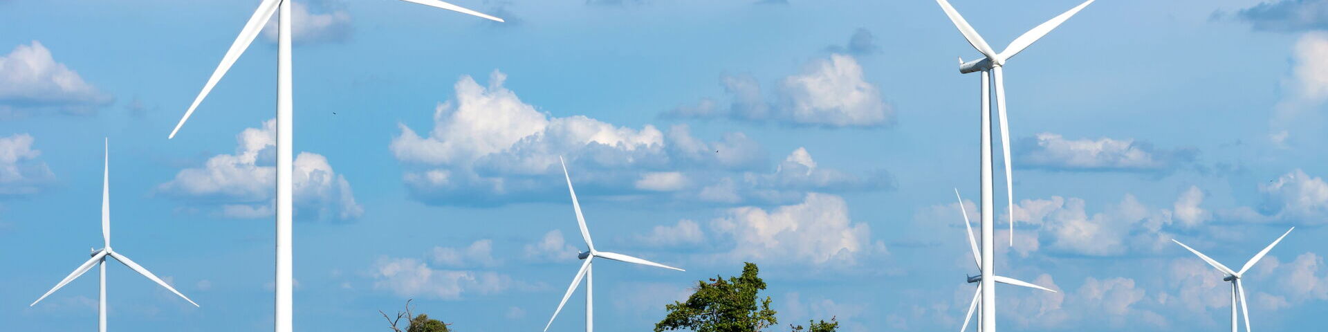 Auf dem Bild ist eine sommerliche Landschaft mit Bäumen, blauem Himmel und sieben Windrädern zu sehen.