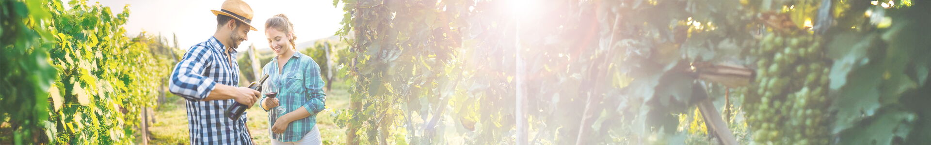 Das Motiv zeigt ein junges Pärchen inmitten von Weinbergen. Die Sonne Scheint und sie genießen ein Glas Rotwein.