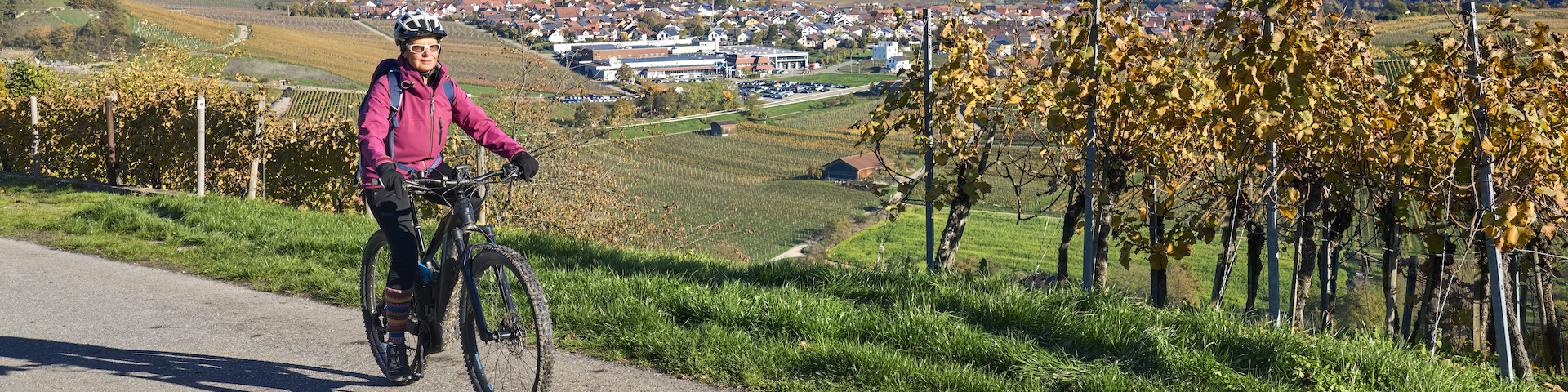 Einen Fahrradfahrerin auf einem gepflasterten Weg durch einen Weinberg. Sie trägt eine pinke Jacke und einen Helm. Im Hintergrund sind Reihen von Weinreben mit Herbstlaub zu sehen.