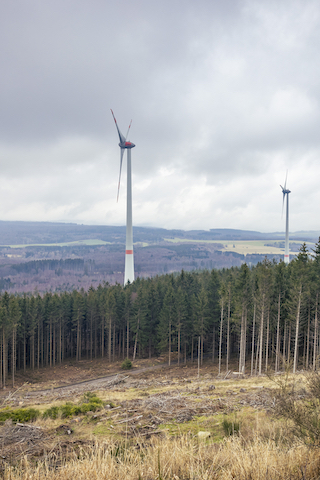 Eine Landschaft mit zwei Windturbinen im Hintergrund. Im Vordergrund befindet sich ein bewaldetes Gebiet mit hohen Bäumen, und es gibt einen gerodeten Abschnitt Land vor den Bäumen. Der Himmel ist bewölkt.