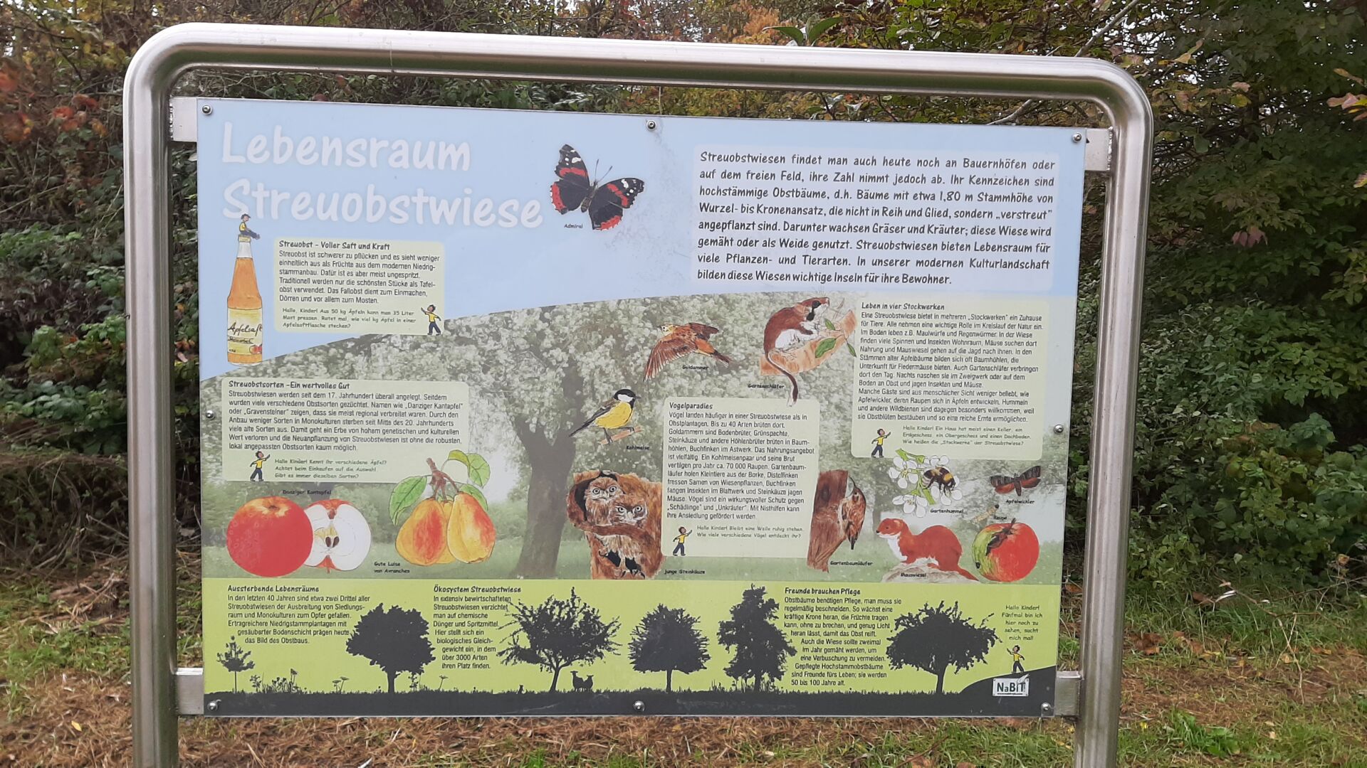 Informationsschild mit dem Titel "Lebensraum Streuobstwiese". Auf einer einzigen Streuobstwiese können bis zu 5000 Tier- und Pflanzenarten leben.