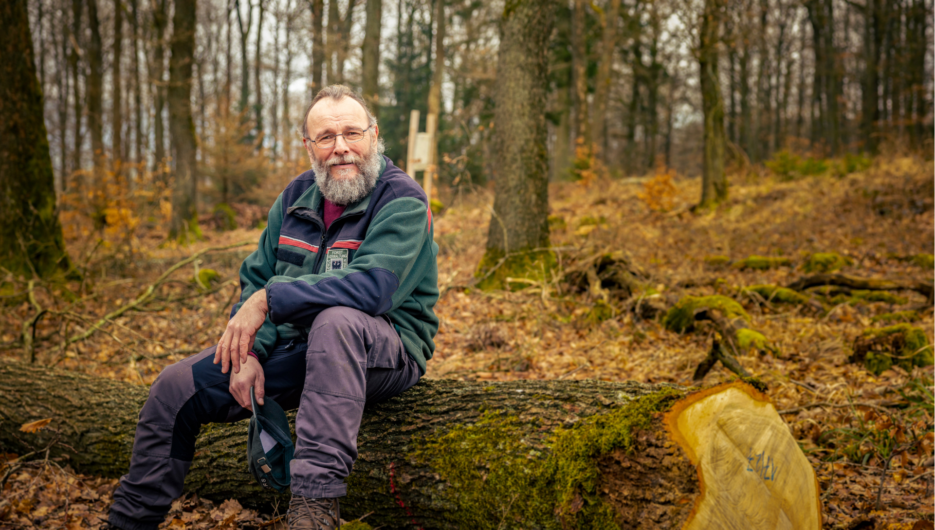 Ein Förster sitzt auf einem gefällten Baumstamm im herbstlichen Wald. Er trägt grüne Jacke, lila Hose und ruht sich aus oder beobachtet die Umgebung zwischen kahlen Bäumen und Laub.